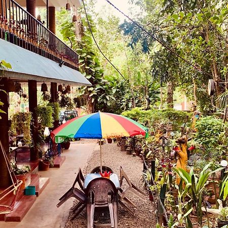 Jungleview Home Stay ادوكي المظهر الخارجي الصورة