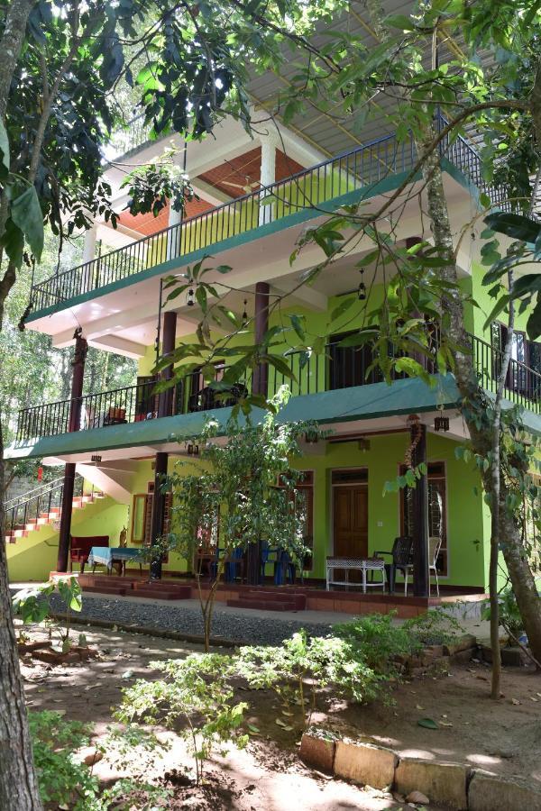 Jungleview Home Stay ادوكي المظهر الخارجي الصورة