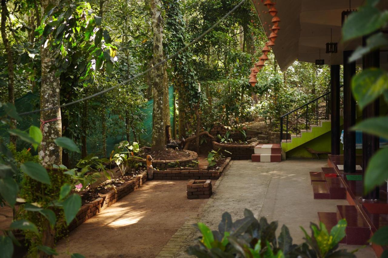 Jungleview Home Stay ادوكي المظهر الخارجي الصورة