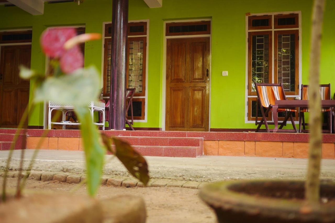Jungleview Home Stay ادوكي المظهر الخارجي الصورة