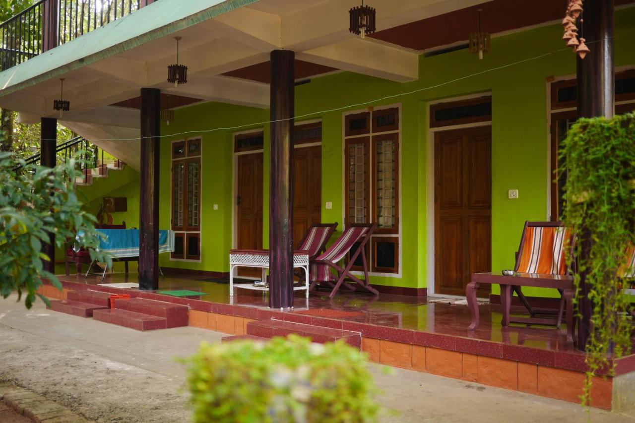 Jungleview Home Stay ادوكي المظهر الخارجي الصورة