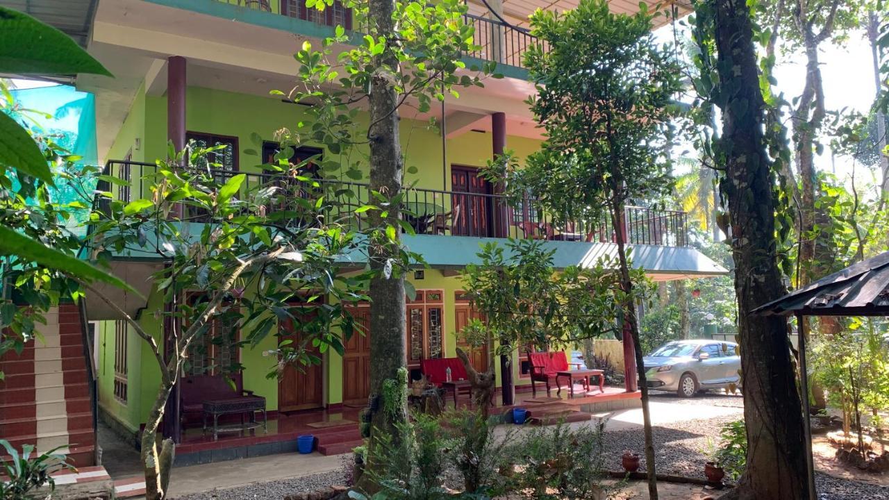 Jungleview Home Stay ادوكي المظهر الخارجي الصورة
