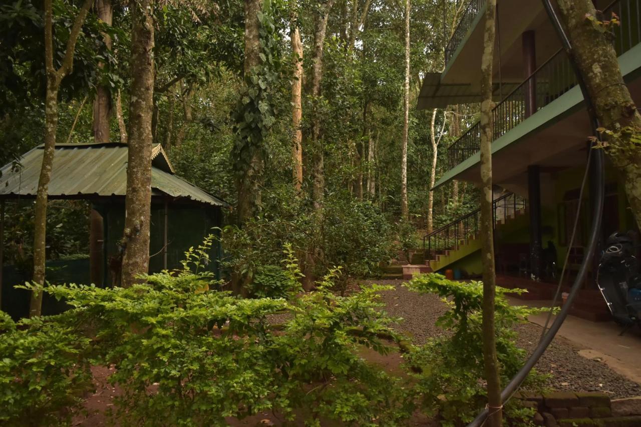 Jungleview Home Stay ادوكي المظهر الخارجي الصورة