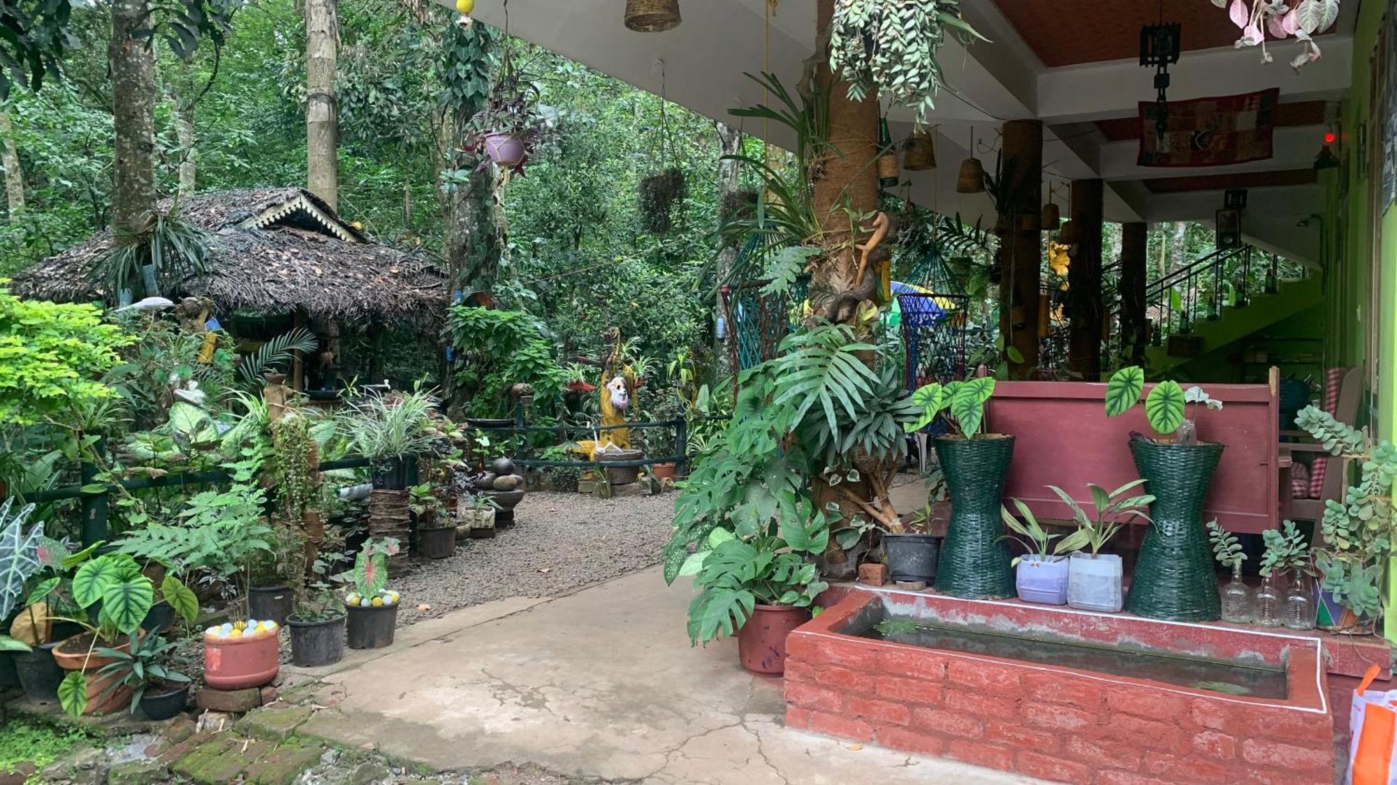 Jungleview Home Stay ادوكي المظهر الخارجي الصورة