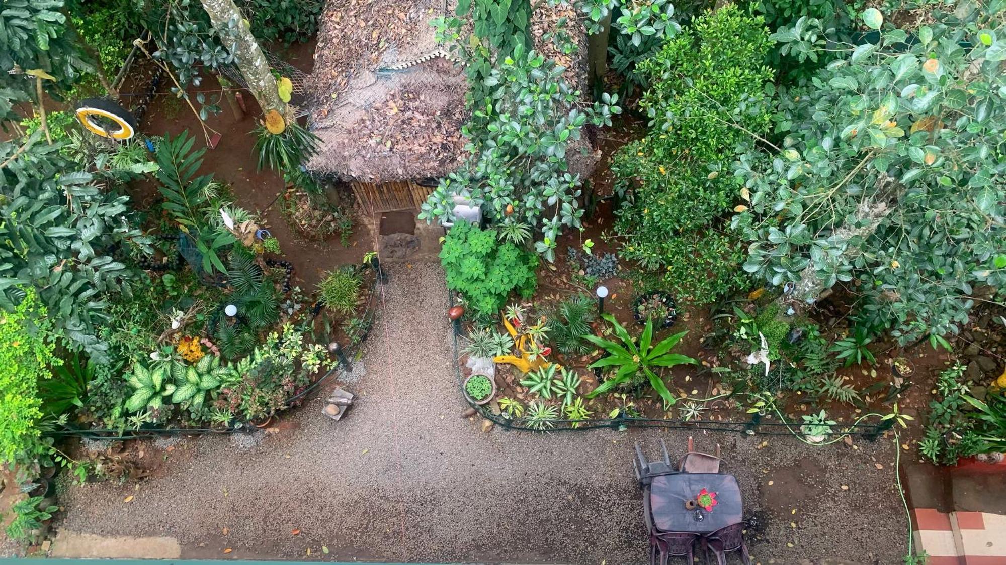 Jungleview Home Stay ادوكي المظهر الخارجي الصورة