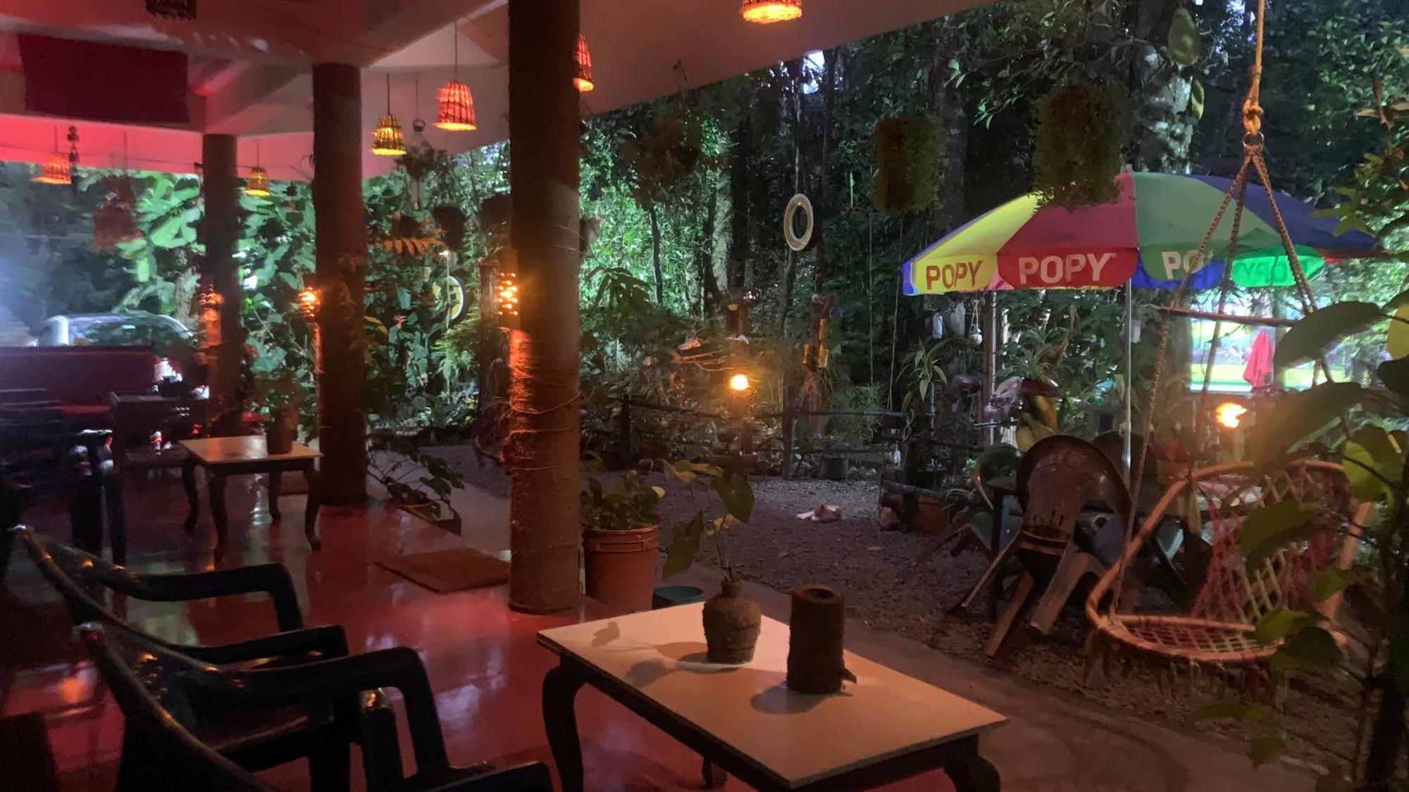 Jungleview Home Stay ادوكي المظهر الخارجي الصورة