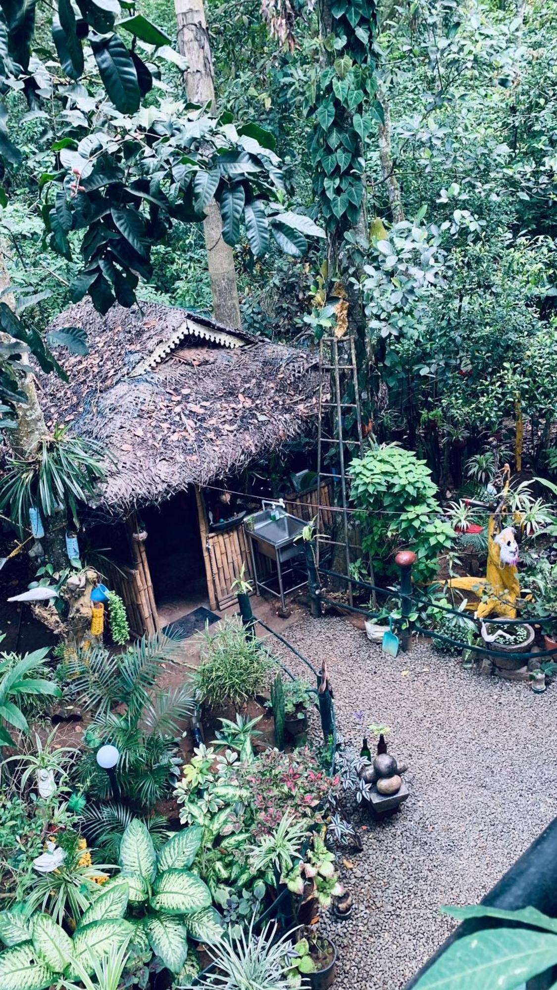 Jungleview Home Stay ادوكي المظهر الخارجي الصورة