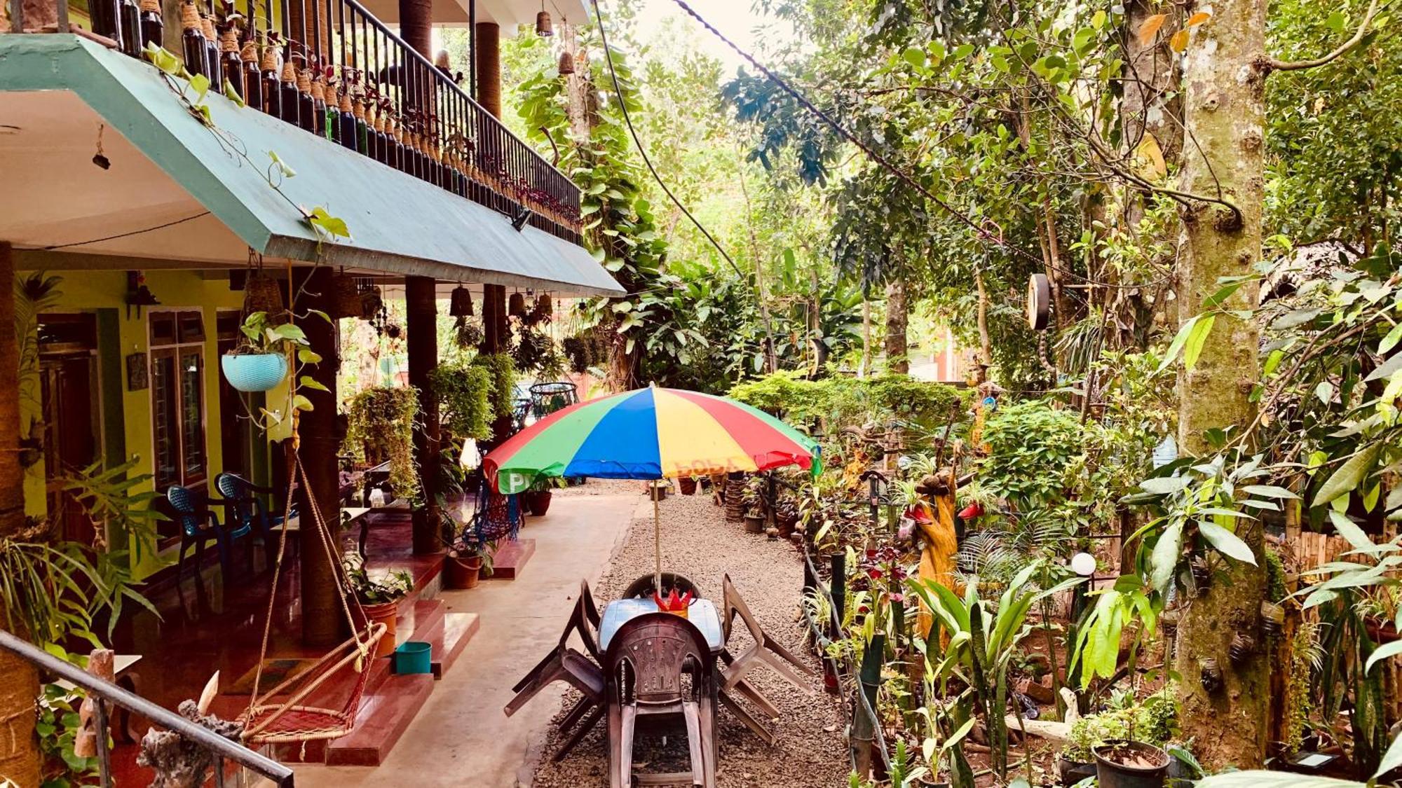 Jungleview Home Stay ادوكي المظهر الخارجي الصورة