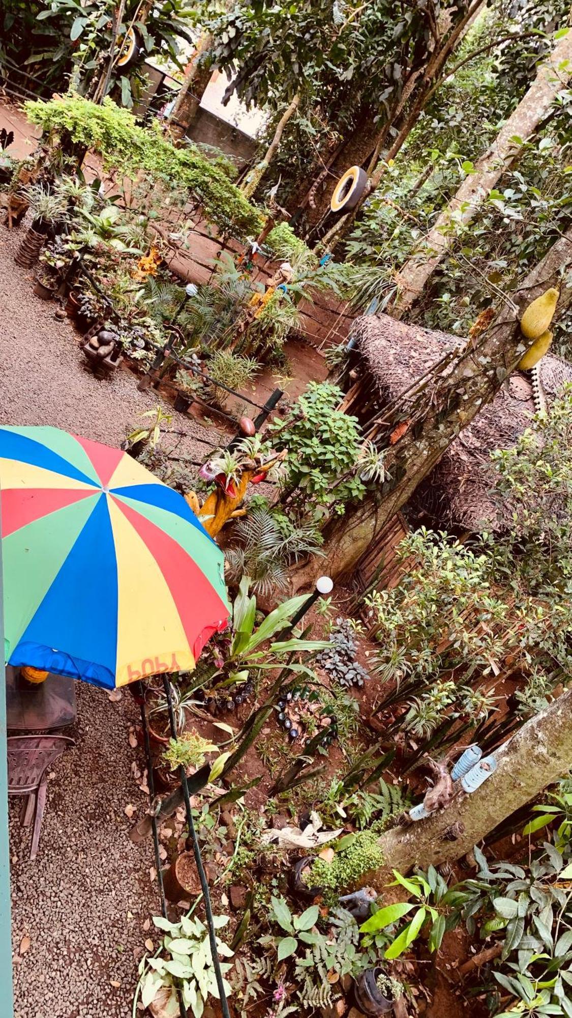 Jungleview Home Stay ادوكي المظهر الخارجي الصورة