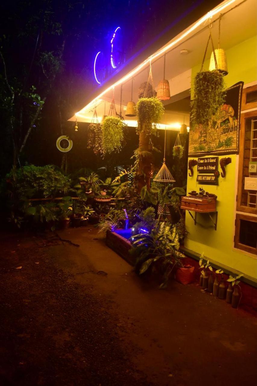 Jungleview Home Stay ادوكي المظهر الخارجي الصورة