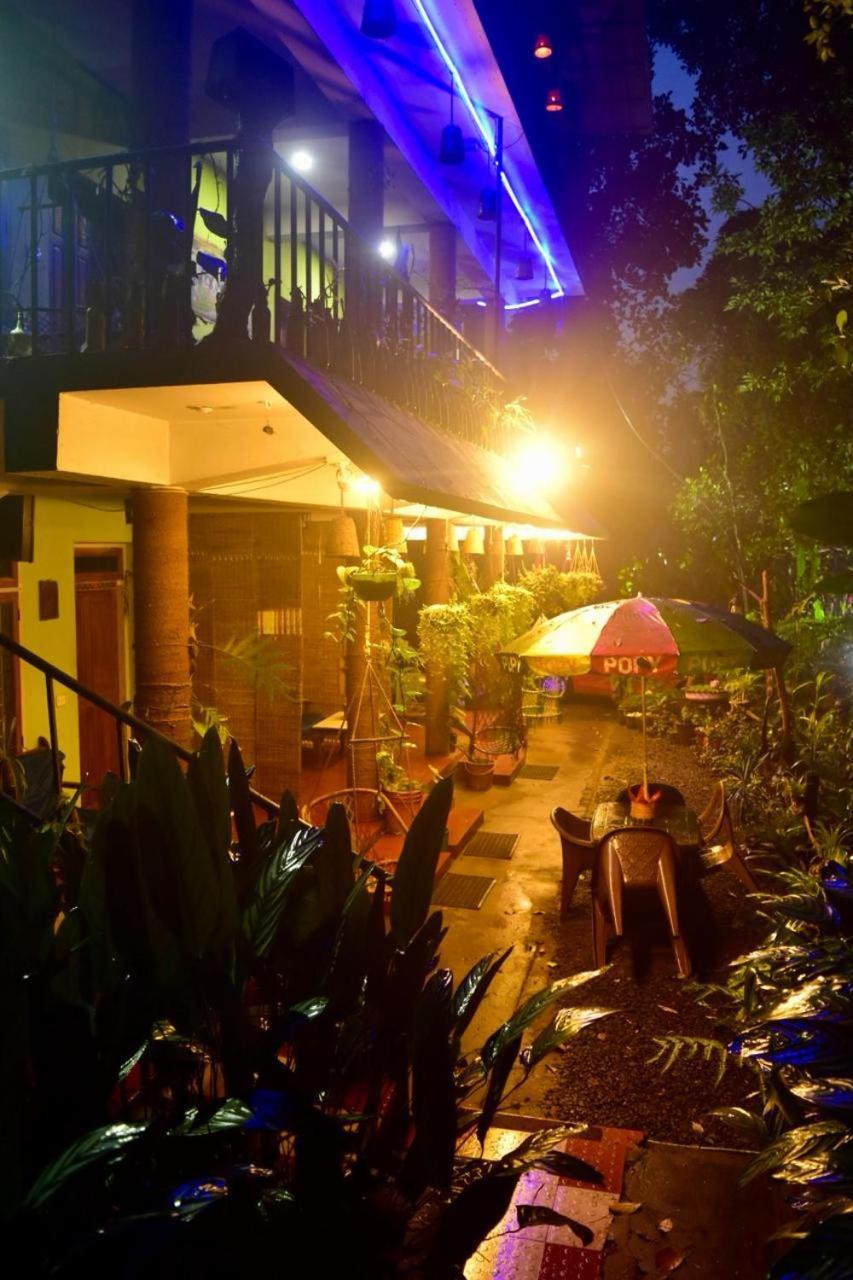 Jungleview Home Stay ادوكي المظهر الخارجي الصورة