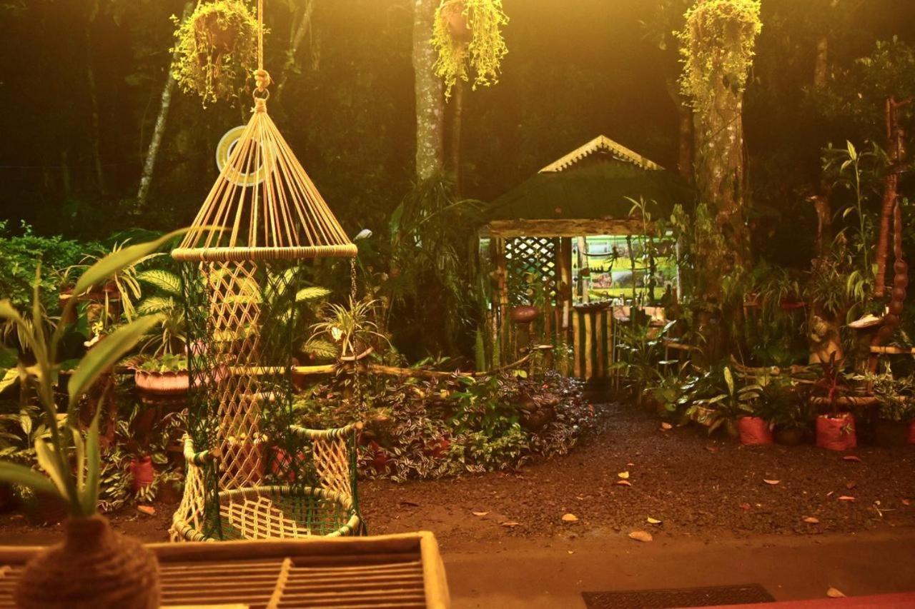 Jungleview Home Stay ادوكي المظهر الخارجي الصورة
