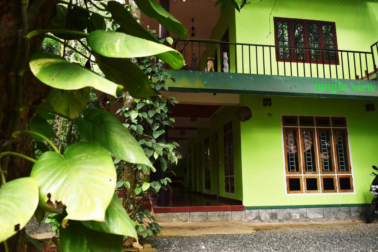 Jungleview Home Stay ادوكي المظهر الخارجي الصورة