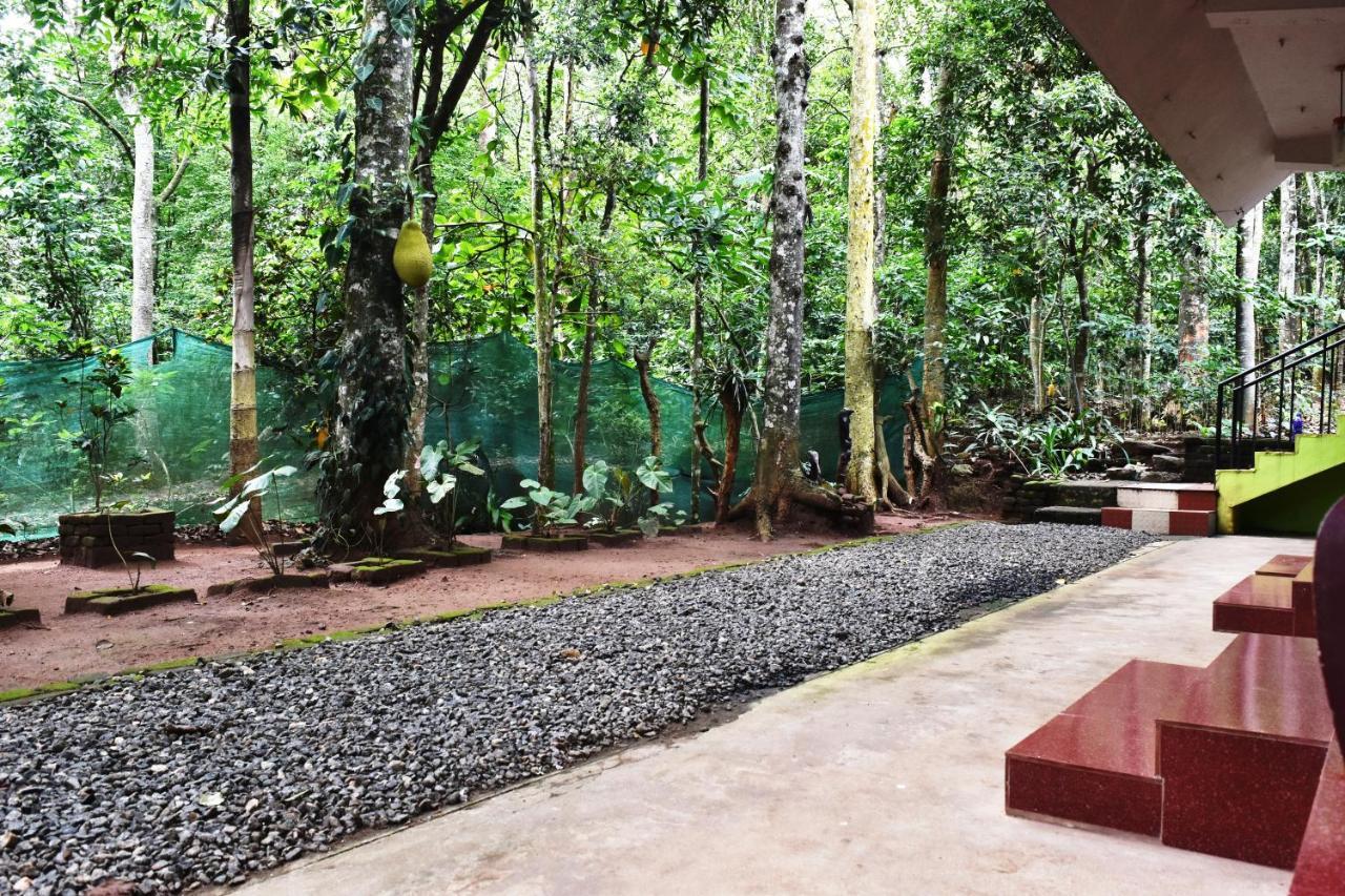 Jungleview Home Stay ادوكي المظهر الخارجي الصورة
