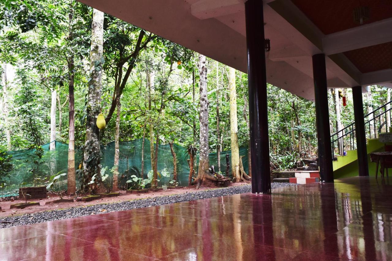 Jungleview Home Stay ادوكي المظهر الخارجي الصورة